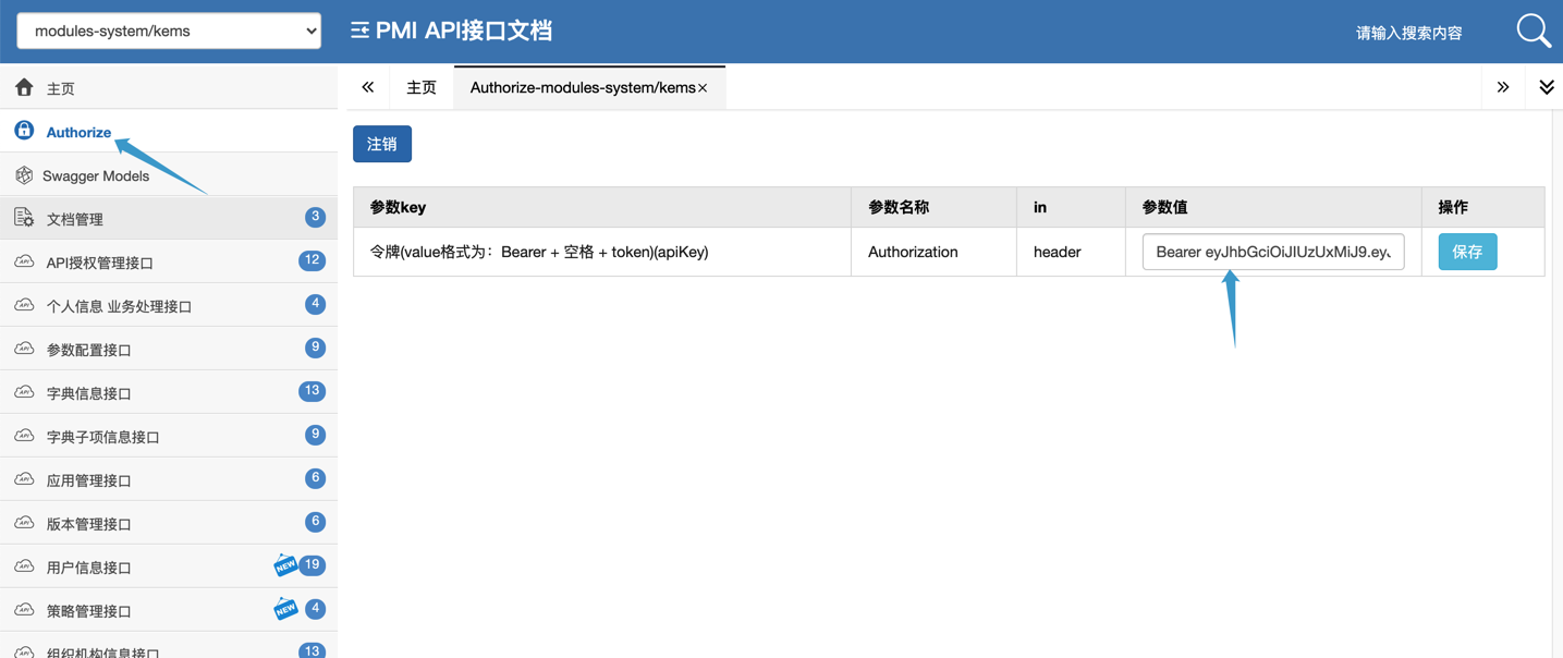 test.swagger.set-token